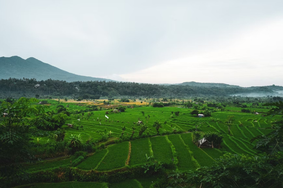 Cakepnya Bikin Pusing! Desa Unik 1.570 MDPL di Jawa Tengah, Berikan View 9 Gunung Berdiri di Titik Pusat