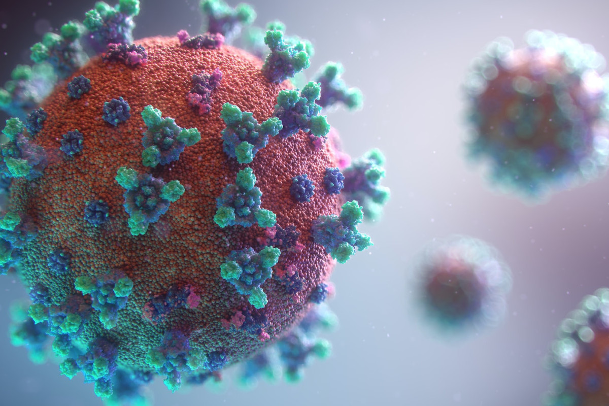 Adenovirus Jenis Virus yang Berbahaya? Simak Penjelasan dan Pengobatan Penyakit yang Saat Ini Kena Rayyanza Tengah Viral di TikTok 