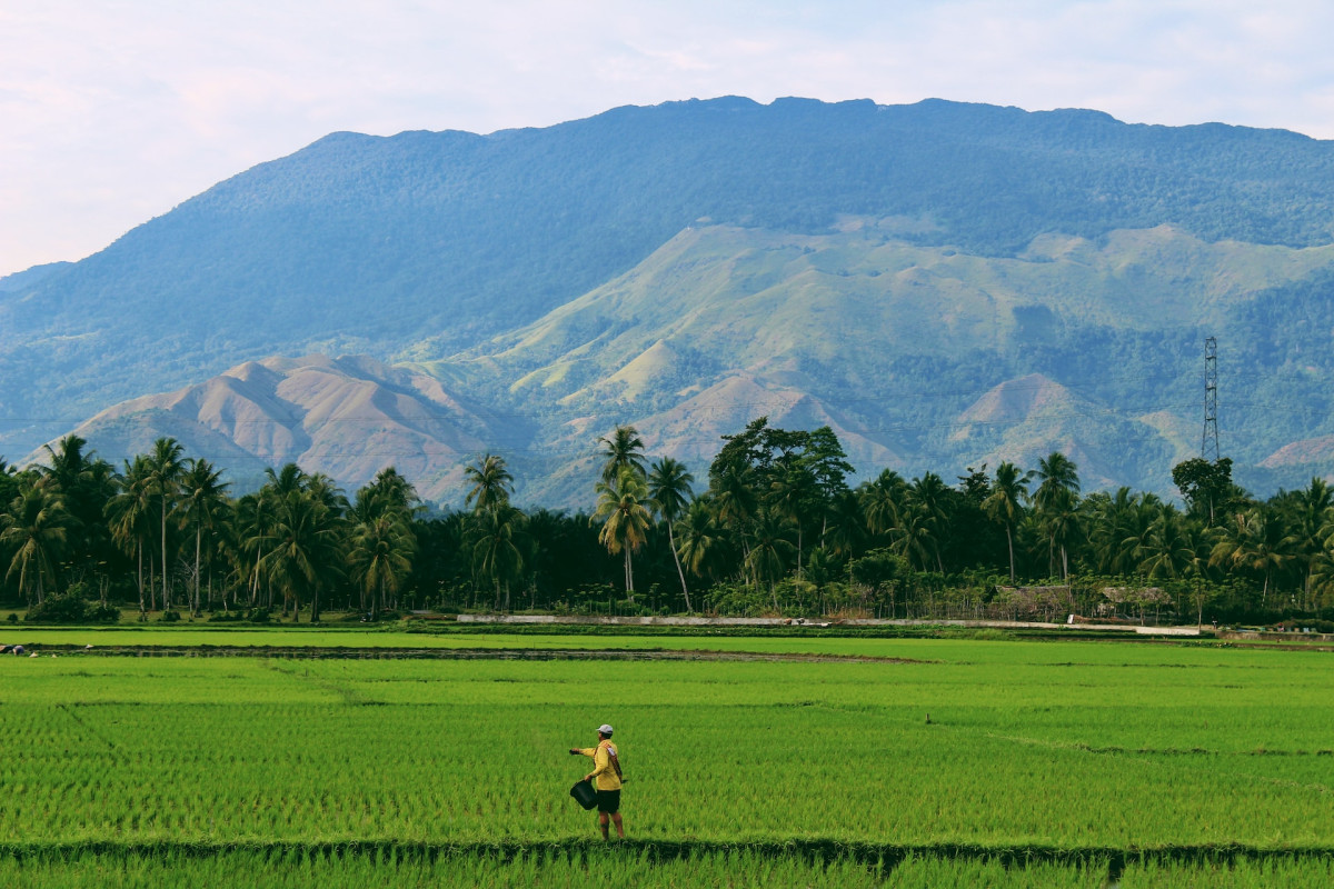 Terungkap! Lima Daerah dengan Jumlah Penduduk Tertinggi, Hidup dalam Kondisi Ekonomi yang Sulit di Sulawesi Tenggara!