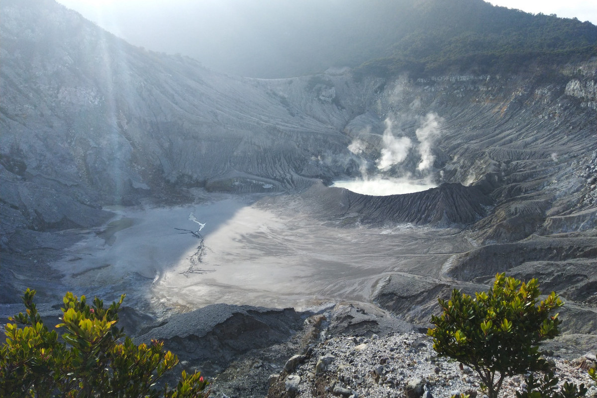 Kronologi 10 Hektare Lahan di Lereng Gunung Argopuro Hangus Terbakar Sebab Karhutla, Apa Ada Korban Jiwa?