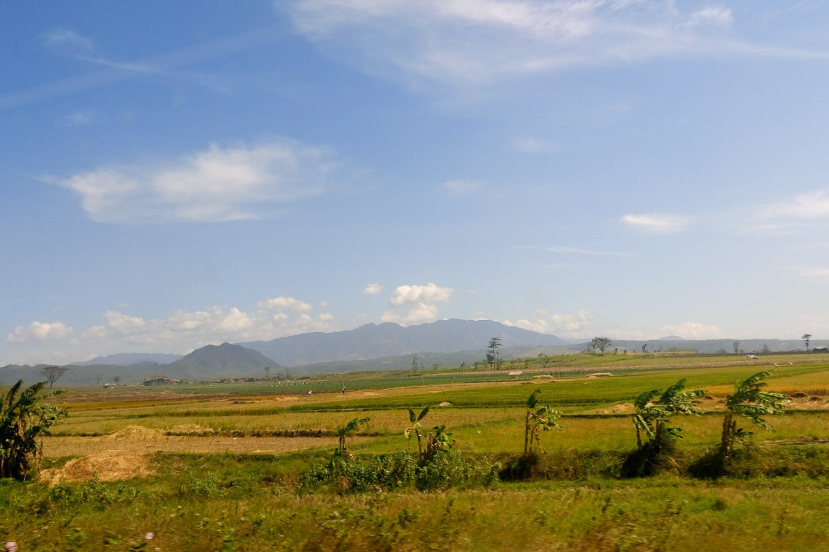 Mengenal Calon Ibukota Baru Pemekaran Provinsi Jawa Tengah, Kecamatan Randublatung Blora dan Segala Keunikan Jatara