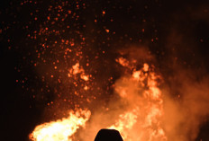 Siapa Bupati Pohuwato Sekarang? Viral Kebakaran di Kantor Pohuwato Gorontalo Dibakar Massa, Ini Beberapa Faktanya