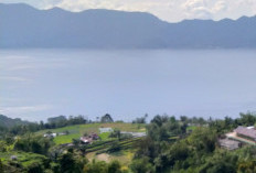 5 Kabupaten di Sumatera Barat Ini Lokasinya Terpencil! Urutan Pertama Warganya Tatoan Semua? 