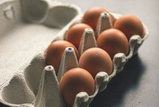 Daftar Harga Telur Ras Hari Ini, 5 Oktober 2023 di Seluruh Provinsi RI - Harga Pelahan Melonjak, Siap-siap Hemat