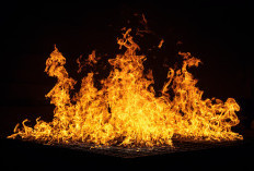 Capai Kerugian hingga 12 Milliar, Kantor Bupati Pohuwato Dibakar Massa Telan Korban Jiwa? Simak 6 Fakta Tragedi Kebakaran di Gorotontalo