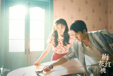 Nonton Link Gratis Drama China Mr. and Mrs. Chen (2023) Episode 9-10 Sub – Jadwal Tayang Berlaku Kapan?