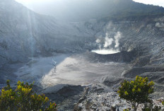 Kronologi 10 Hektare Lahan di Lereng Gunung Argopuro Hangus Terbakar Sebab Karhutla, Apa Ada Korban Jiwa?