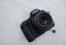 UPDATE Terbaru! Cek Harga Kamera Canon dari yang Murah hingga yang Bikin Tergoda, Ada Canon EOS 90d hingga Canon EOS 1500d